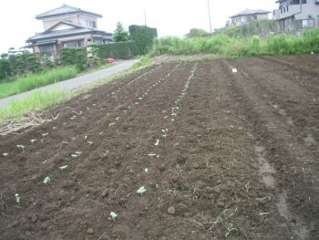f:id:bzn-a:20100621215143j:image