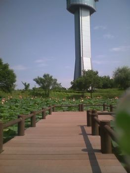 f:id:bzn-a:20100704235523j:image