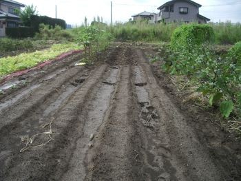 f:id:bzn-a:20100916000401j:image