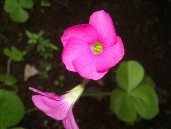 f:id:bzn-a:20101017214601j:image