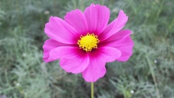 f:id:bzn-a:20101020181815j:image f:id:bzn-a:20101020181815j:image