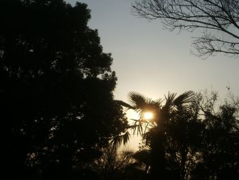 f:id:bzn-a:20101220221409j:image f:id:bzn-a:20101220221409j:image