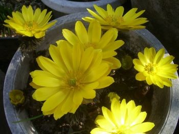f:id:bzn-a:20110225180638j:image