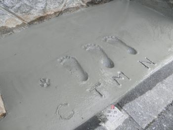 f:id:bzn-a:20110305224851j:image