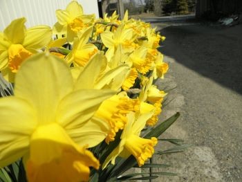 20110329225724