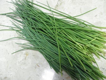 f:id:bzn-a:20110418224131j:image