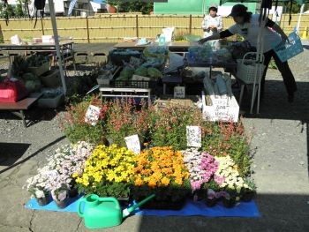 f:id:bzn-a:20110515171030j:image