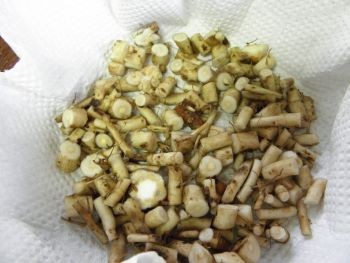f:id:bzn-a:20110526003556j:image