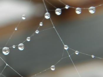 f:id:bzn-a:20110618004747j:image