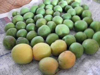 f:id:bzn-a:20110626000908j:image