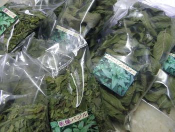 f:id:bzn-a:20110810232633j:image