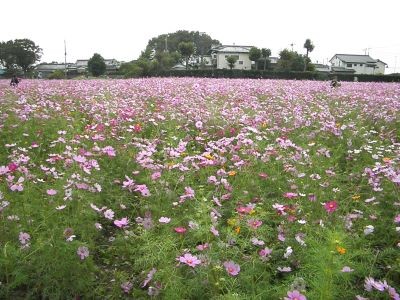 f:id:bzn-a:20111022105239j:image