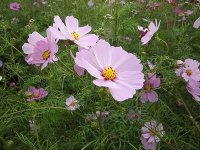 f:id:bzn-a:20111022105240j:image