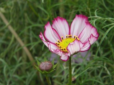 f:id:bzn-a:20111022105241j:image