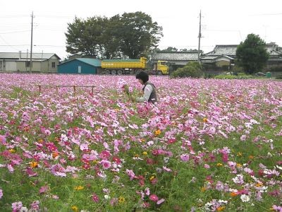 f:id:bzn-a:20111022105242j:image
