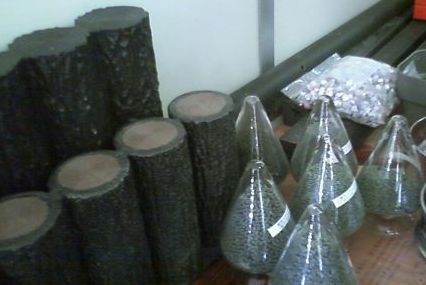 f:id:bzn-a:20111105171911j:image f:id:bzn-a:20111105171911j:image