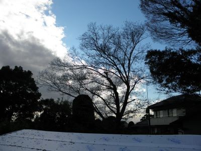 f:id:bzn-a:20111216175309j:image