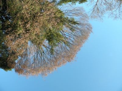 f:id:bzn-a:20111217205936j:image