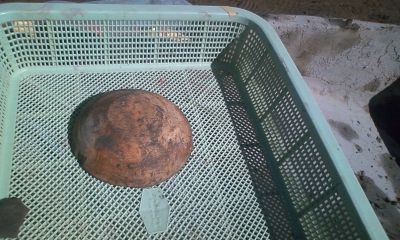 f:id:bzn-a:20120114140647j:image f:id:bzn-a:20120114140647j:image