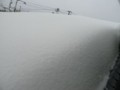 20120130101756
