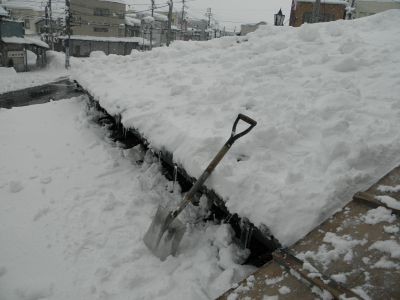 f:id:bzn-a:20120130101757j:image f:id:bzn-a:20120130101757j:image