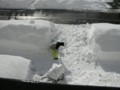 20120130101759