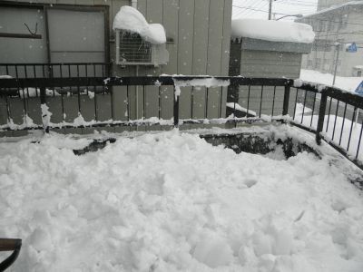 f:id:bzn-a:20120130101803j:image f:id:bzn-a:20120130101803j:image