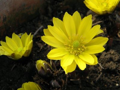 f:id:bzn-a:20120301141632j:image
