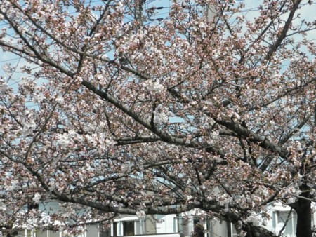 f:id:bzn-a:20120406223934j:image