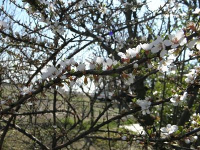 f:id:bzn-a:20120406223935j:image