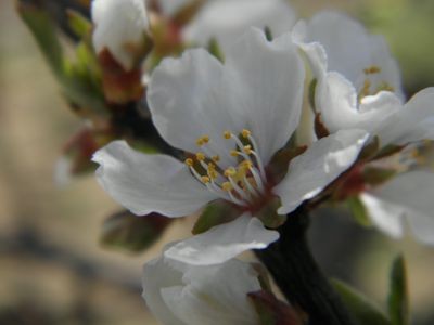 f:id:bzn-a:20120406223936j:image