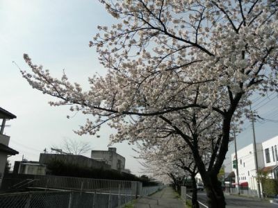 f:id:bzn-a:20120410211252j:image