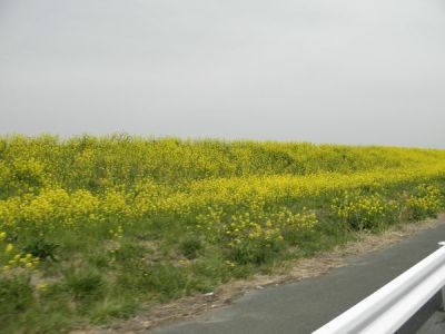 f:id:bzn-a:20120410211254j:image