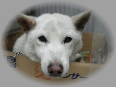 f:id:bzn-a:20120421001921j:image