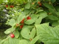20120605233752