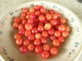 20120605233753