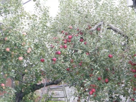 f:id:bzn-a:20121007153051j:image f:id:bzn-a:20121007153051j:image