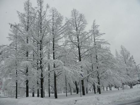 f:id:bzn-a:20130104212105j:image