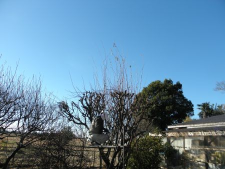 f:id:bzn-a:20140113161523j:image f:id:bzn-a:20140113161523j:image