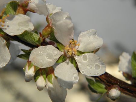 f:id:bzn-a:20140330195731j:image