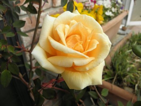f:id:bzn-a:20140501222239j:image