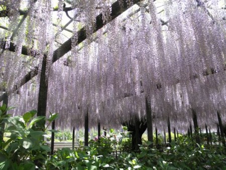 f:id:bzn-a:20140501222241j:image