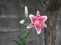 20140716232243