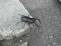 20140905232329