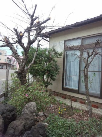 f:id:bzn-a:20150407134038j:image f:id:bzn-a:20150407134038j:image