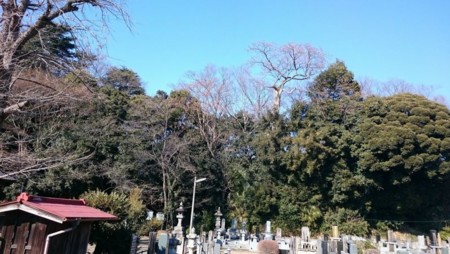 f:id:bzn-a:20160128164948j:image