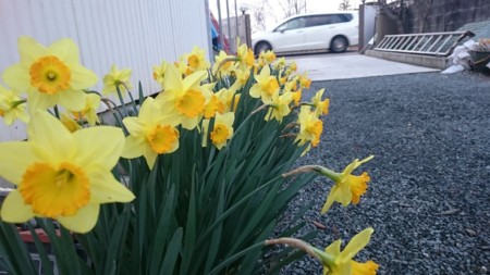 f:id:bzn-a:20160403150639j:image
