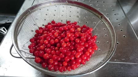 f:id:bzn-a:20160530105625j:image