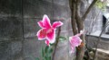 20160717001707