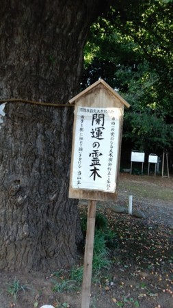 f:id:bzn-a:20170927204340j:image f:id:bzn-a:20170927204340j:image